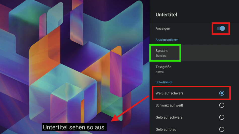 Untertitel Einstellungen.png